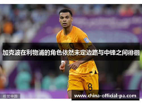 加克波在利物浦的角色依然未定边路与中锋之间徘徊