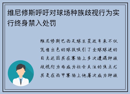 维尼修斯呼吁对球场种族歧视行为实行终身禁入处罚
